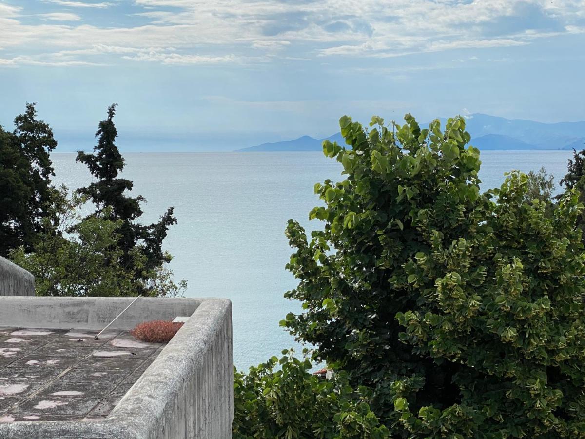 Irini Seaside Apartment PalaiónTsiflíkion Esterno foto