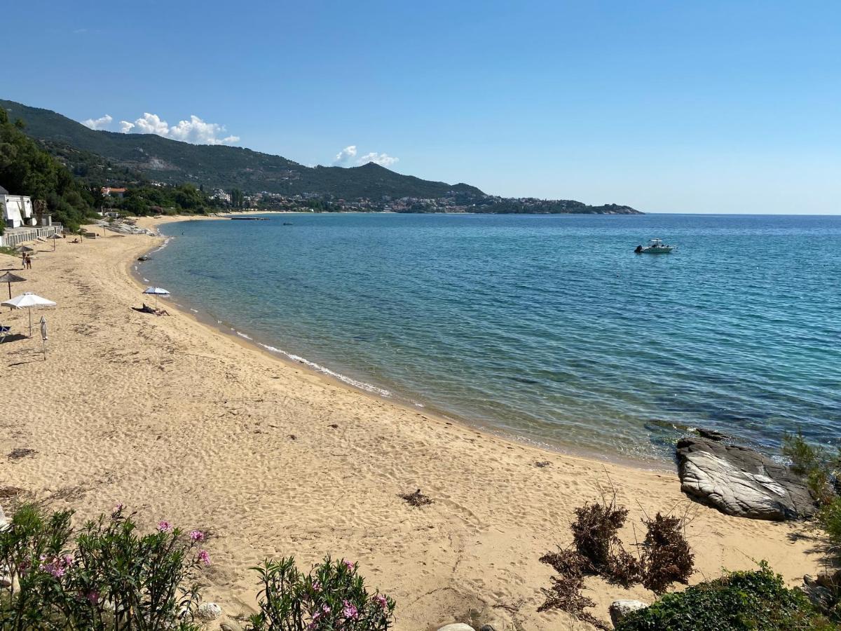 Irini Seaside Apartment PalaiónTsiflíkion Esterno foto