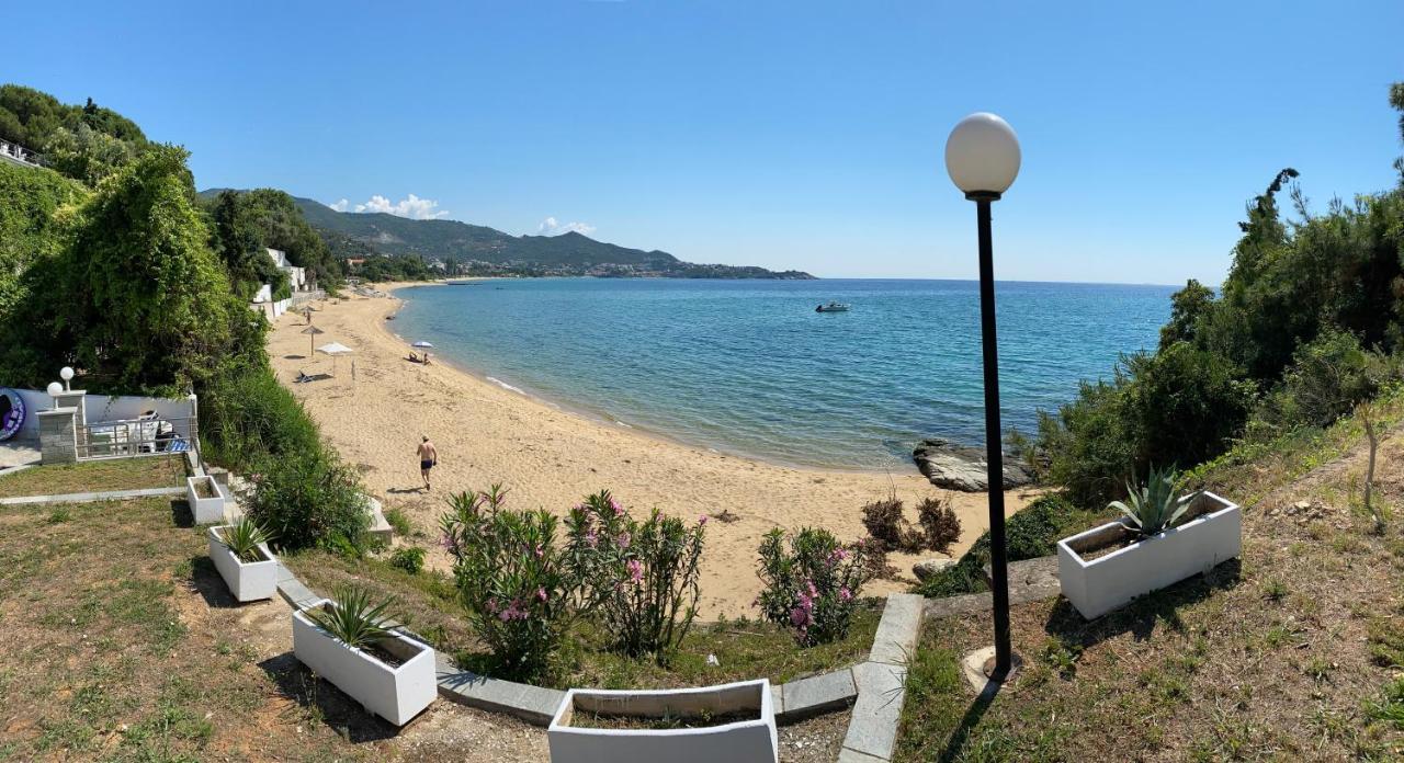Irini Seaside Apartment PalaiónTsiflíkion Esterno foto