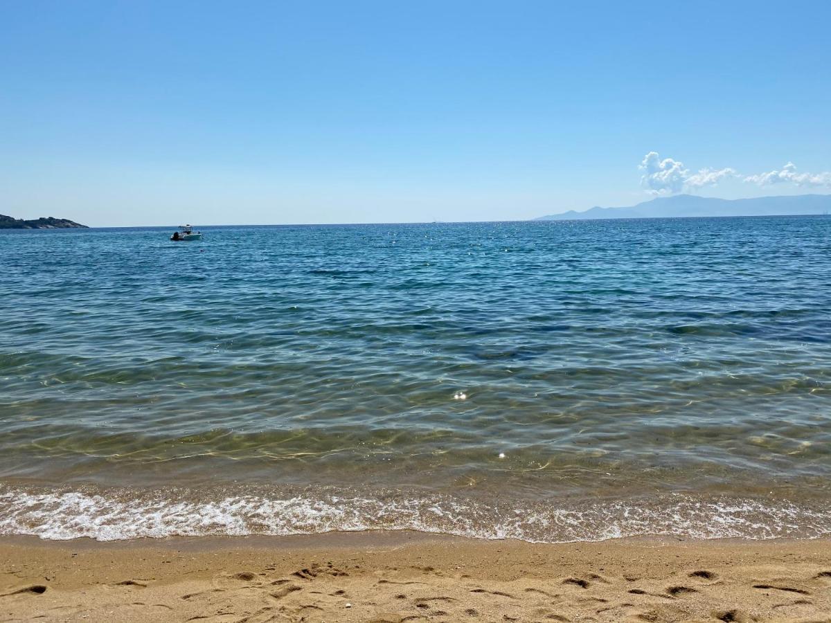 Irini Seaside Apartment PalaiónTsiflíkion Esterno foto