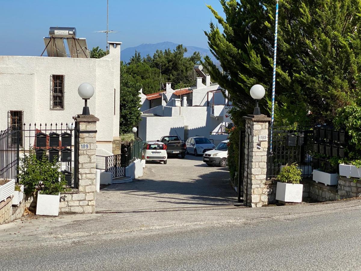 Irini Seaside Apartment PalaiónTsiflíkion Esterno foto