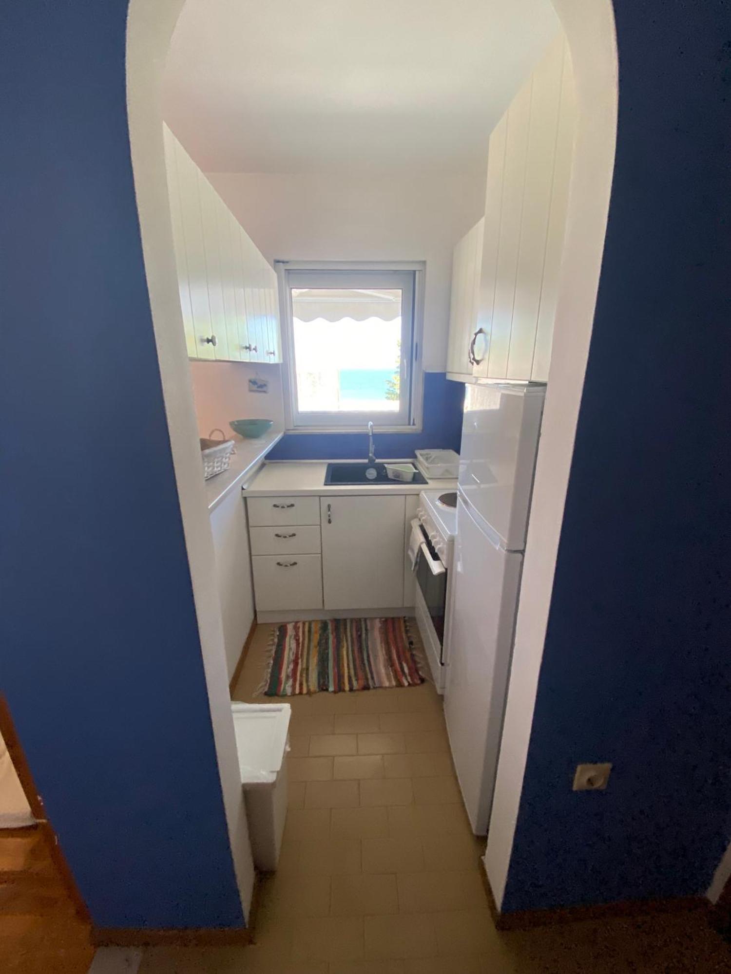 Irini Seaside Apartment PalaiónTsiflíkion Esterno foto